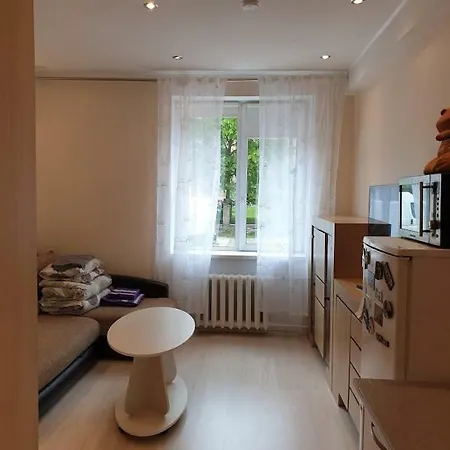 Apartment Located In The Center Of Tallinn.