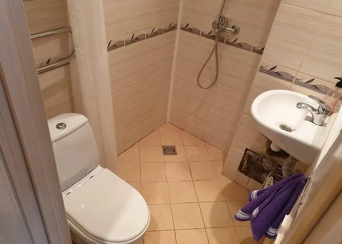 Located In The Center Of Tallinn. タリン